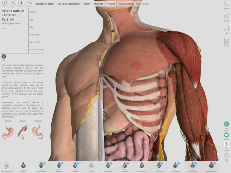 Complete Anatomy 2018 App for iPad Pro