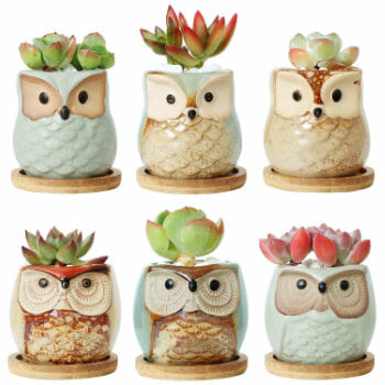 Owl Ceramic Succulent Planter Pots For Office Decor